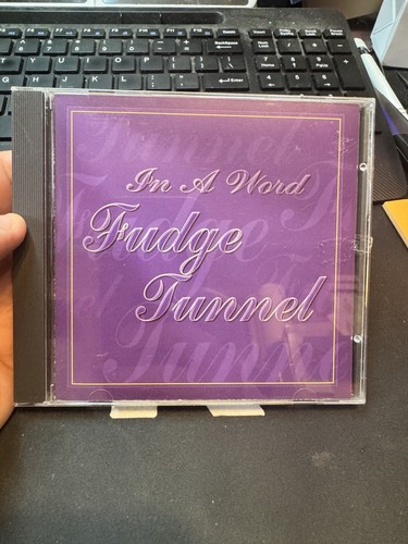 Fudge Tunnel In A Word Cd 1995 - NO SCRATCHES!